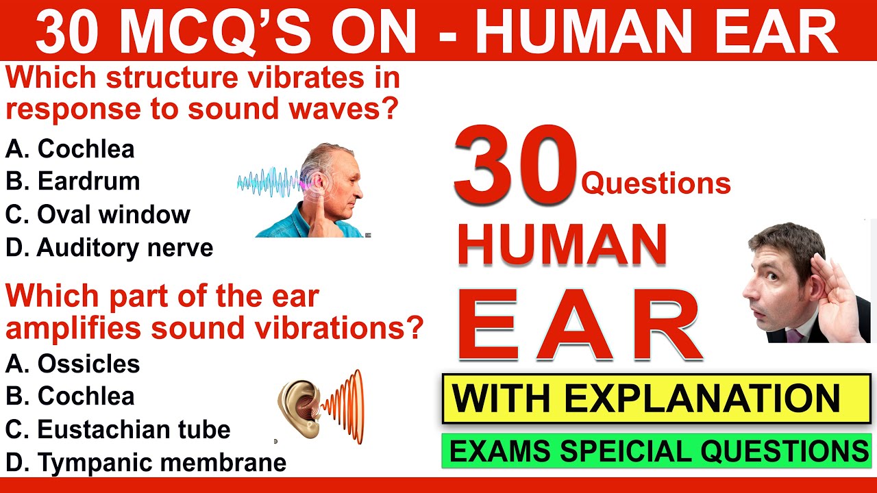 human ear mcq | human ear question and answers | ear mcqs with answers | general knowledge quiz