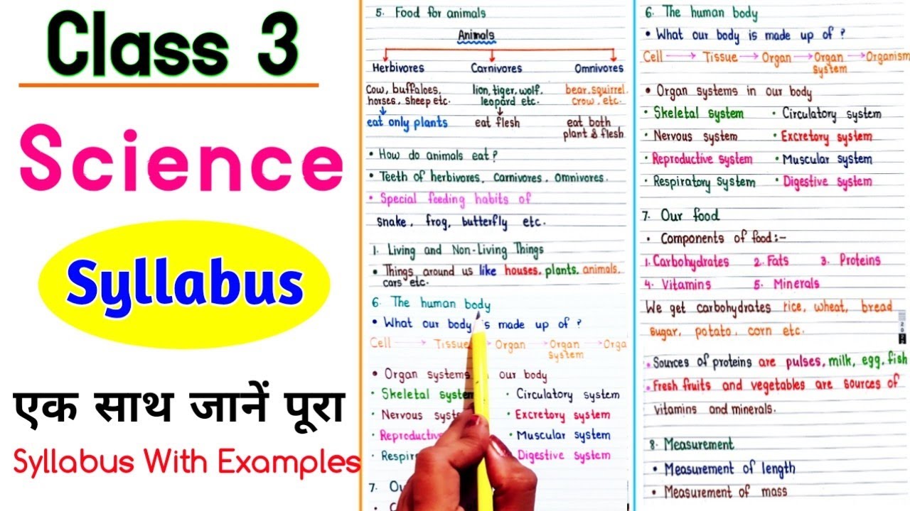 Class 3 Syllabus | Class 3 science Syllabus | Science Syllabus for Class 3 | Syllabus for class 3 |