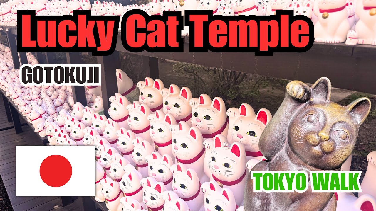 Храм счастливой кошки Готокудзи – история и скрытые чары [TOKYO WALK]
