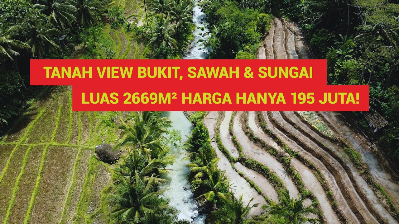 Tanah View Bukit, Sawah & Sungai Luas 2669m² Harga 195 Juta! Dekat Tanah Milik Luna Maya