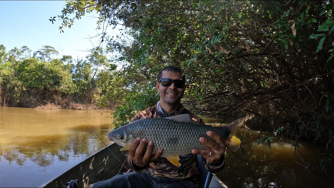ISSO SIM É PIAPARA! E NÃO UM PIAU VERDADEIRO! Pescaria de piau, piapara, pacu e matrinxã