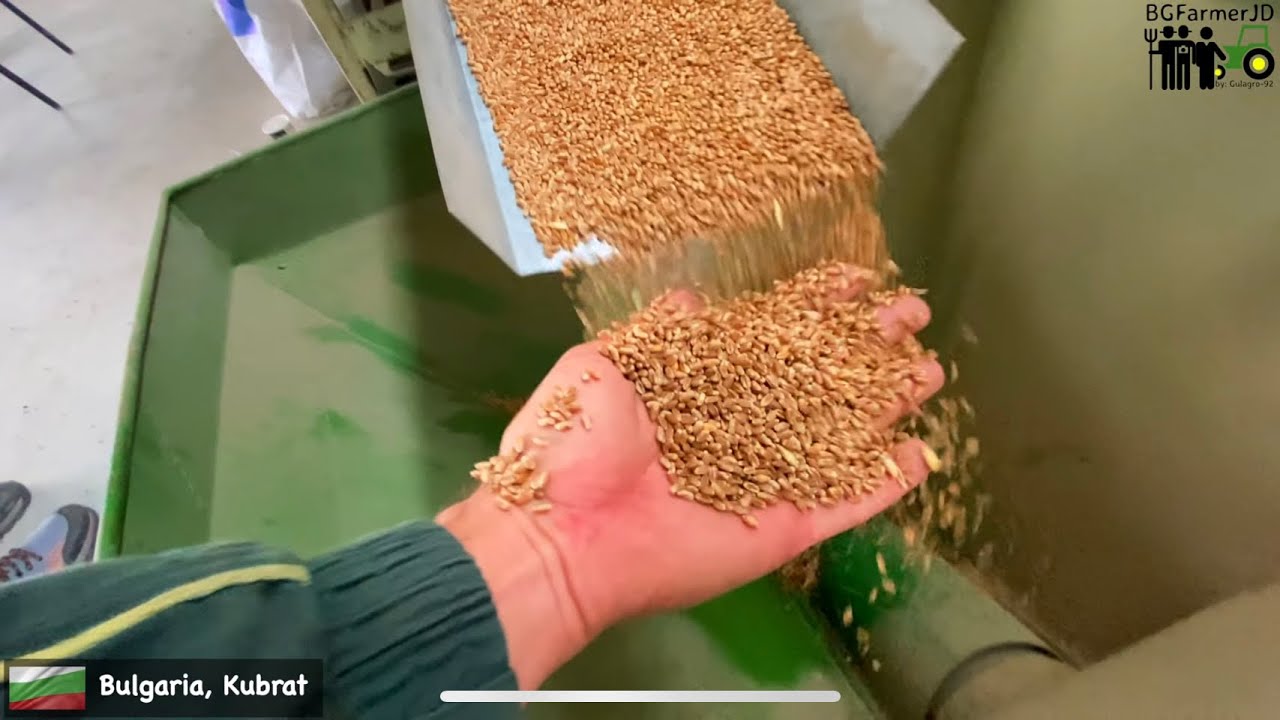 4K ✅  Wheat seed cleaning🔥  PETKUS K541 Super🔥  Made in Germany🔥  Wheat seed cleaning machine 🔥