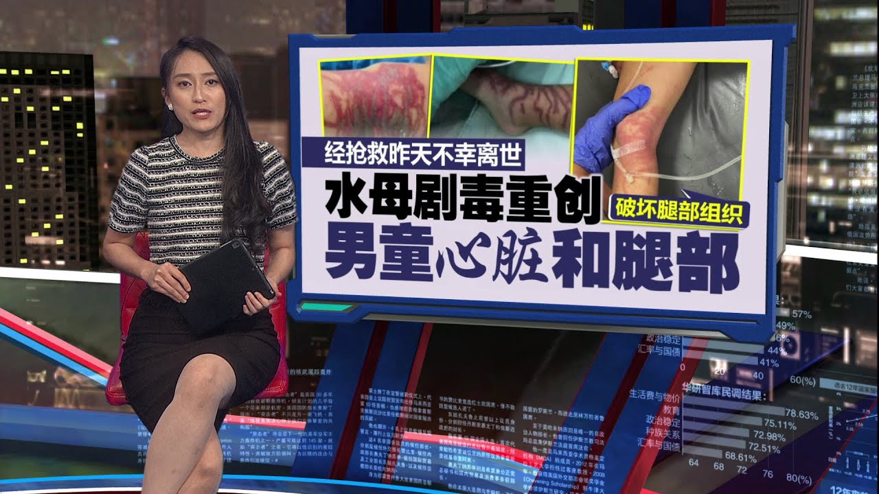 浮罗交怡出现致命&ldquo;箱形水母&rdquo;   俄2岁男童遭水母蜇伤不治身亡 | 新闻报报看 20/11/2025