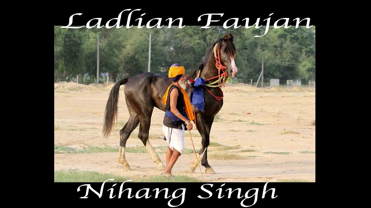 Nihang Singh Guru Ki Laadli Fauj ( ARMI ) best horses by Manu sharma photography