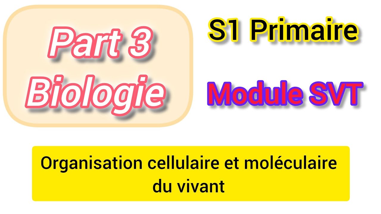 Organisation cellulaire et moléculaire du vivant . Part 3
