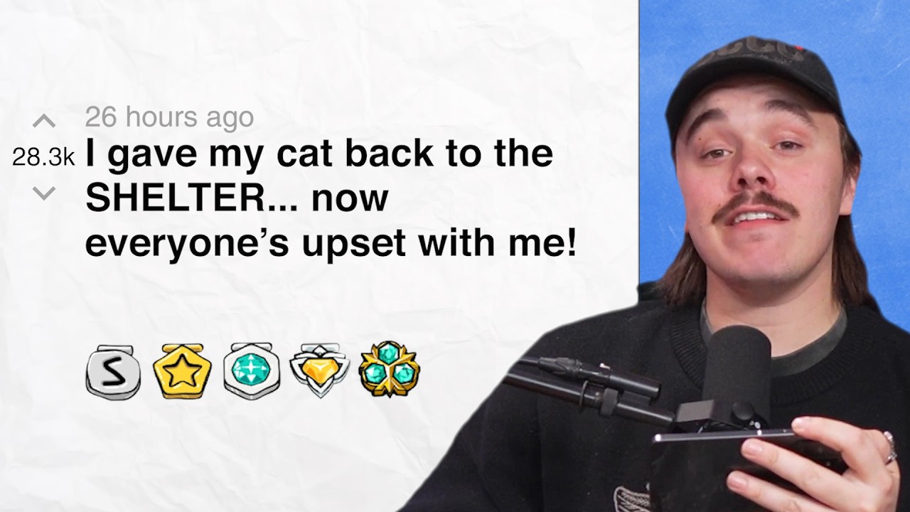 I gave my cat back to the SHELTER... now everyone’s upset with me! | Reddit Stories