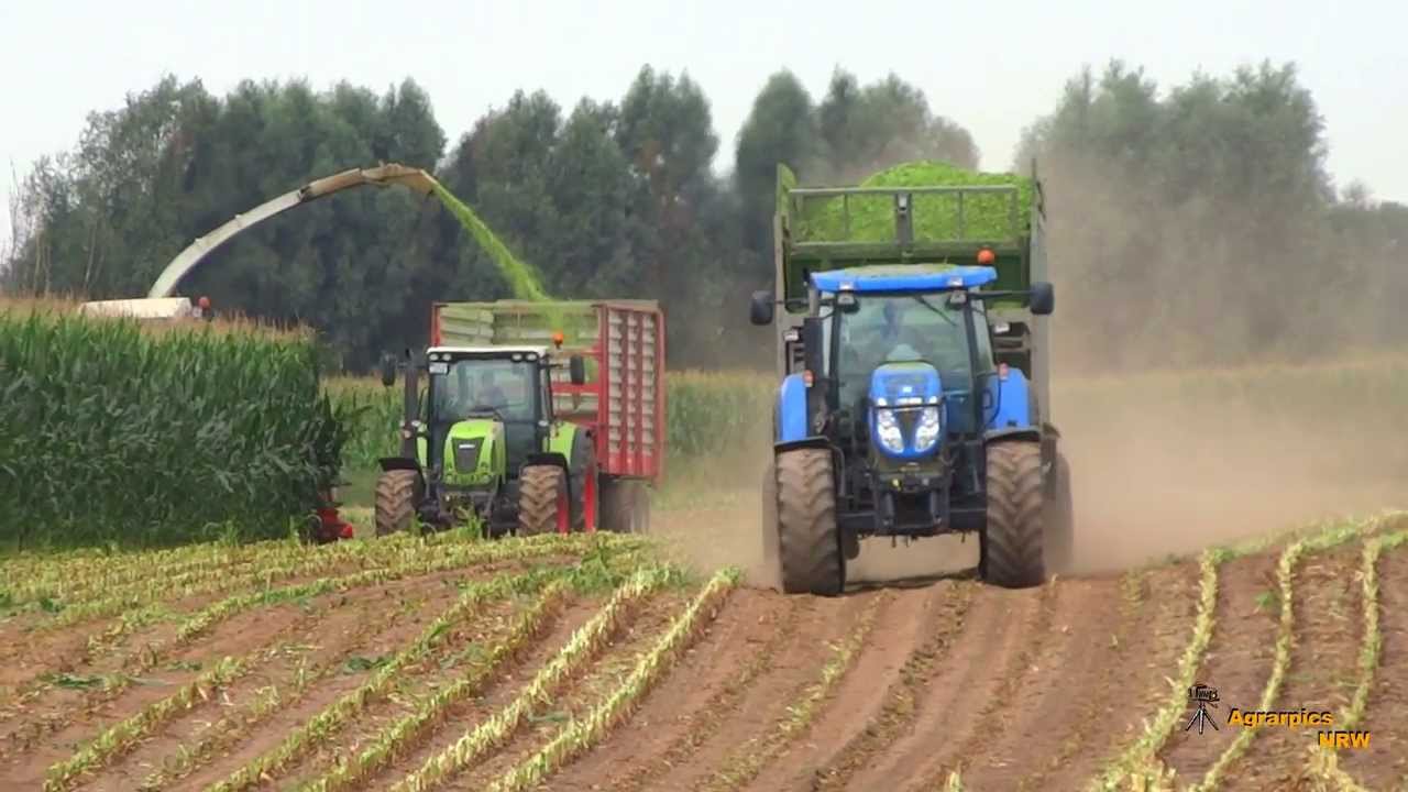 Maisernte 2013 mit LU Janssen es geht los [HD]