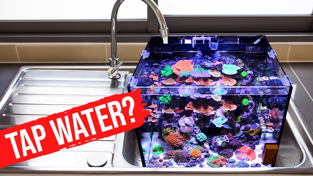 A Definitive Answer: Do You Need RO/DI Water for a Saltwater Aquarium or Reef Tank?