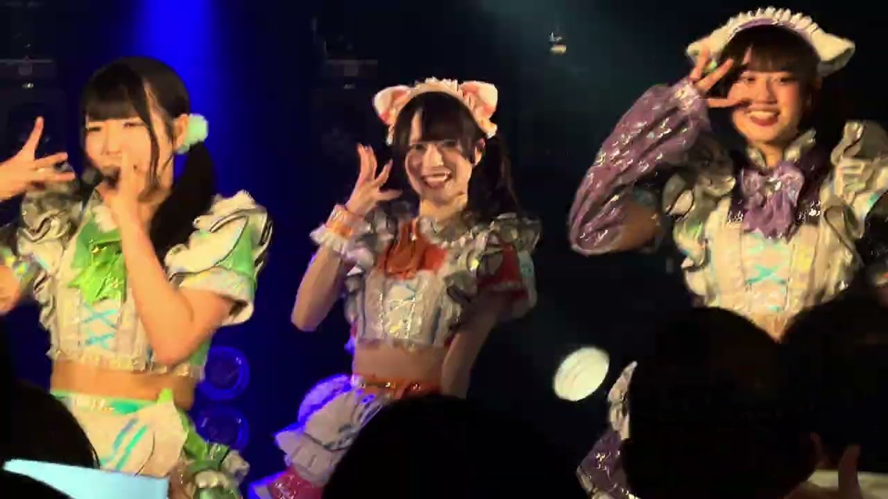 ネコプラ②