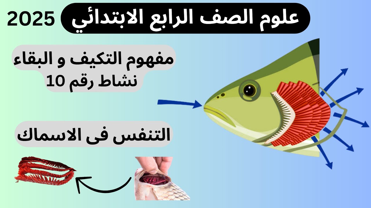 التنفس في الاسماك علوم الصف الرابع الابتدائي