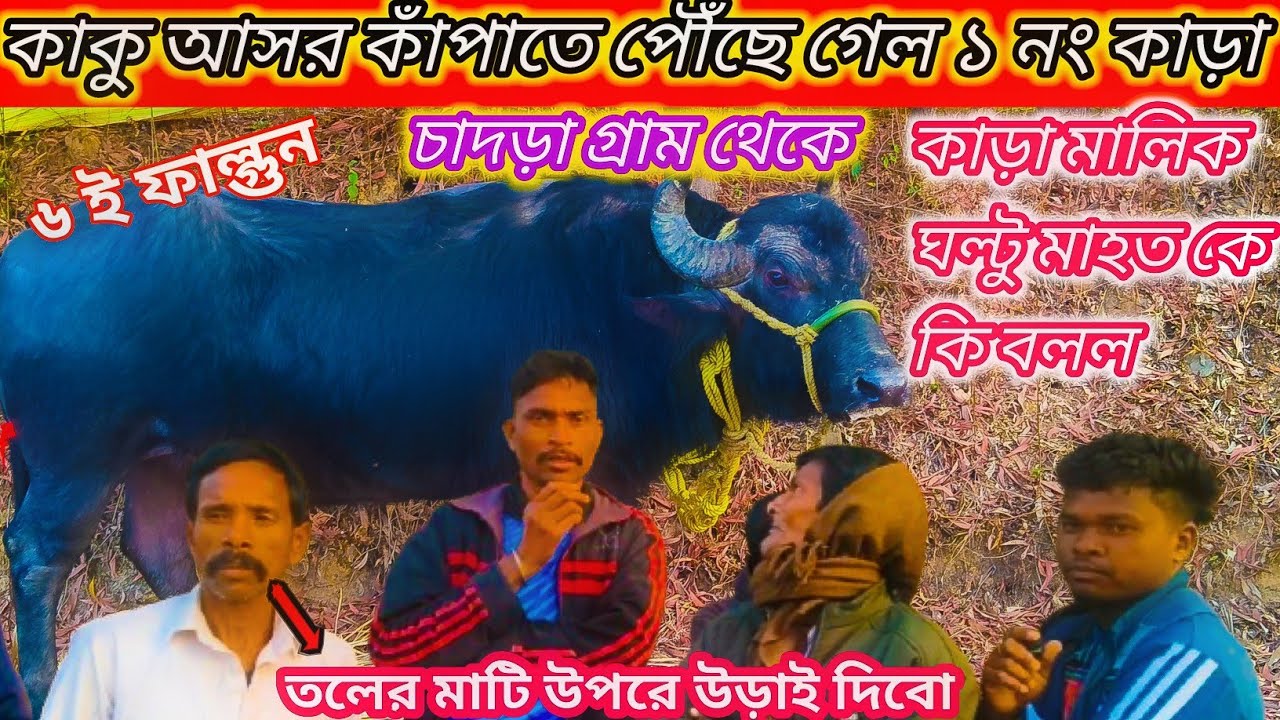 কাকু আসর কাঁপাতে পৌঁছে গেল ১ নং কাড়া কেন্দা থানা চাদড়া গ্ৰাম থেকে সরবেশ্বর মাহলির কাড়া @gayermela