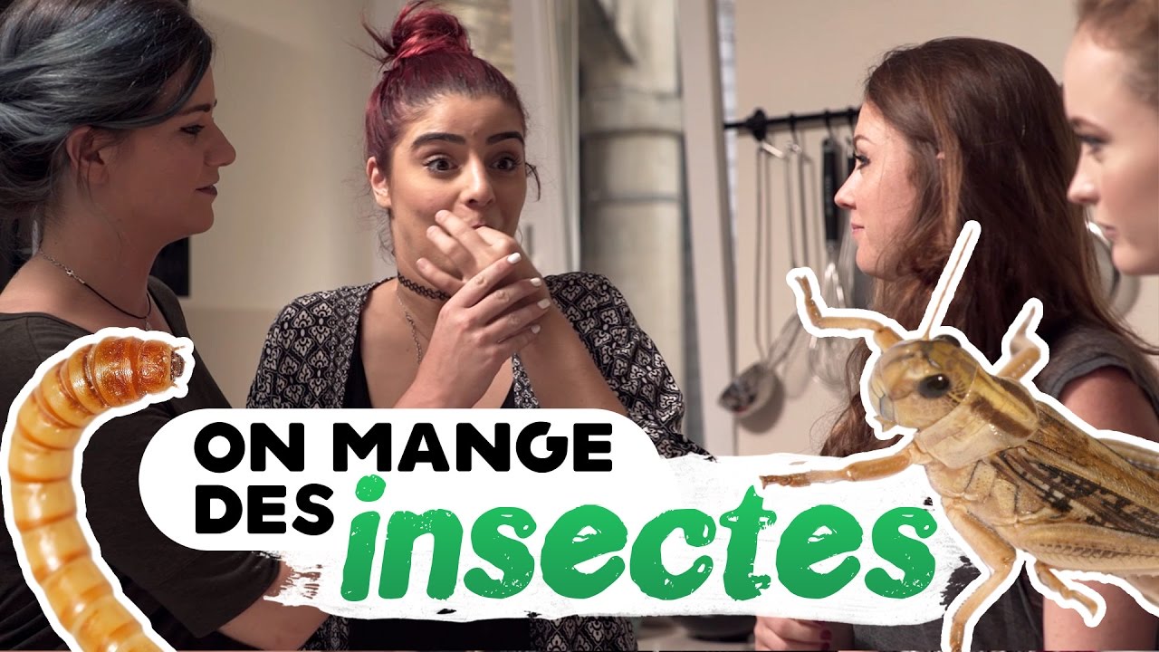 ON CUISINE DES INSECTES + DÉGUSTATION ! avec Sophie Riche et Pastel