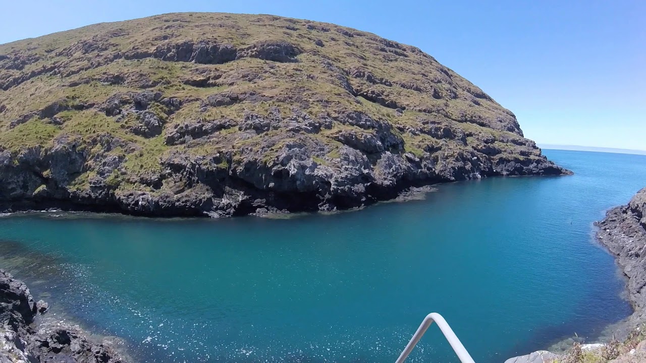 Akaroa Head Reserve Walk