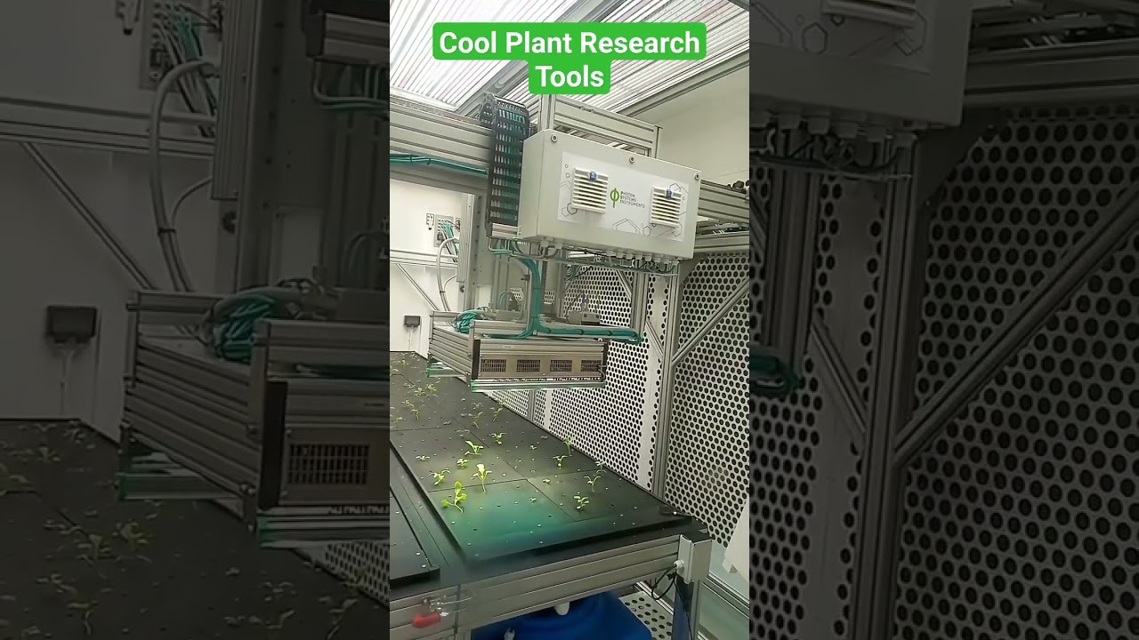 Next-level plant research #NPEC Growth chamber #Netherlands #WUR #wageningen