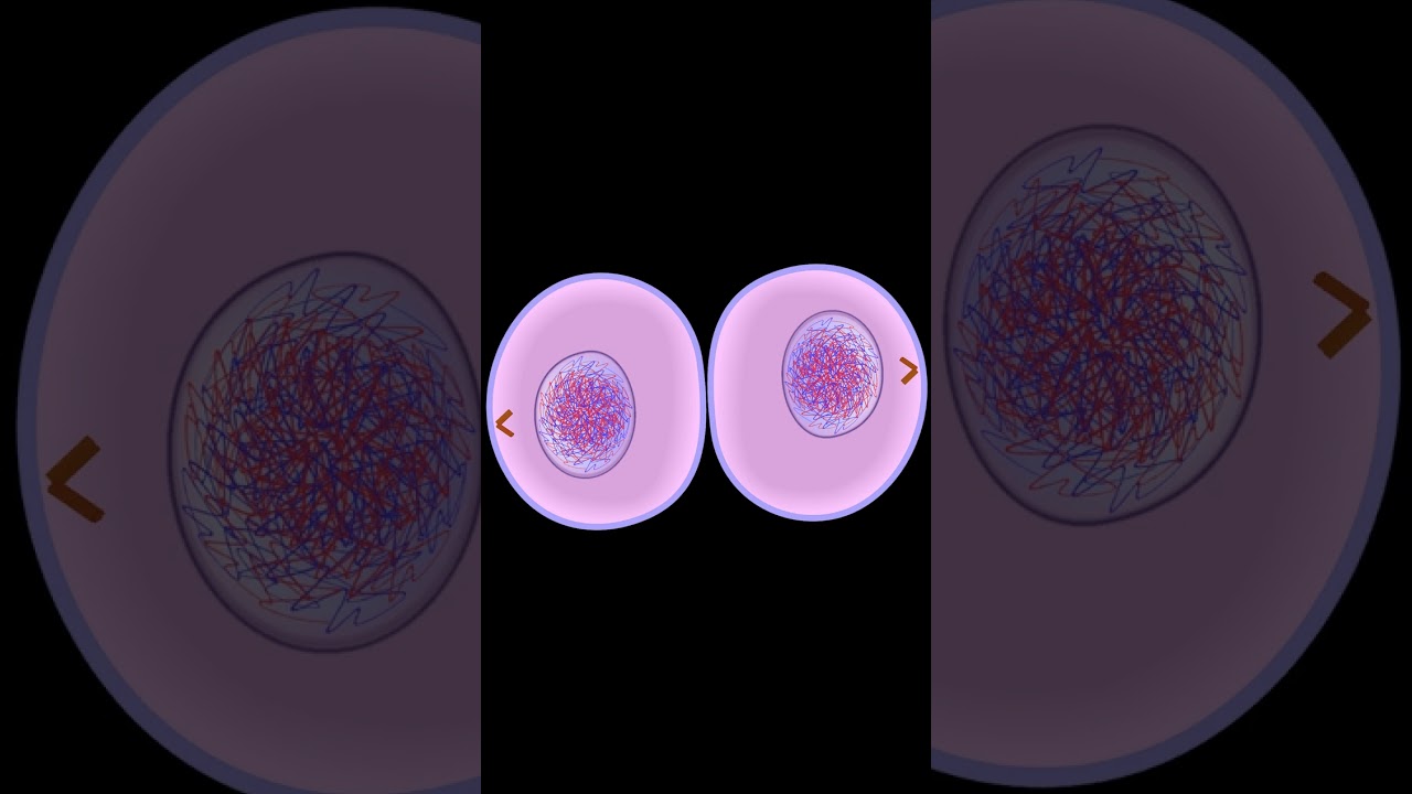 Evidencia Etapa 1 Equipo 1 Fundamentos de la genetica y biotecnología 