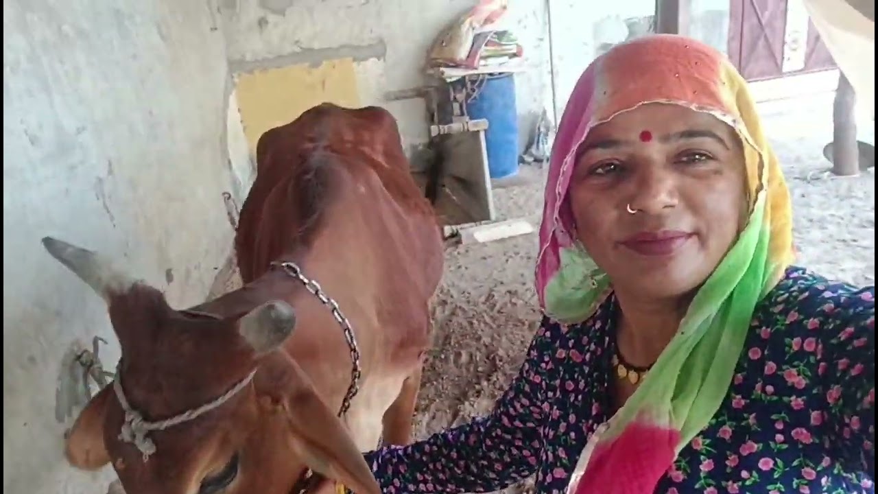 रख की कीमत हम क्या जाने