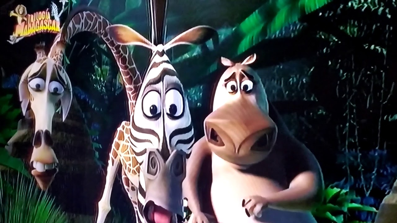 Madagascar What a wonderful World