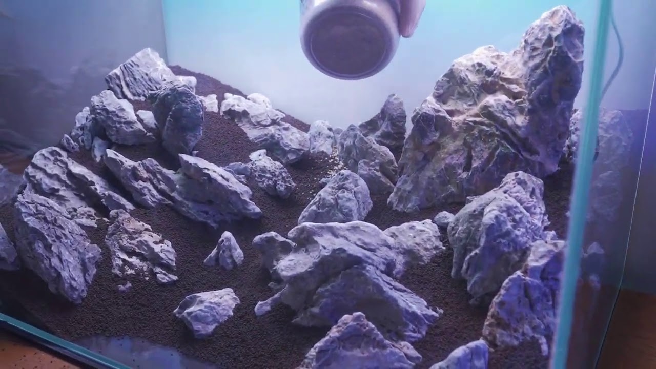 Brazilian Style Inspired Aquascape from Alex at Aqua Lab Aquaria