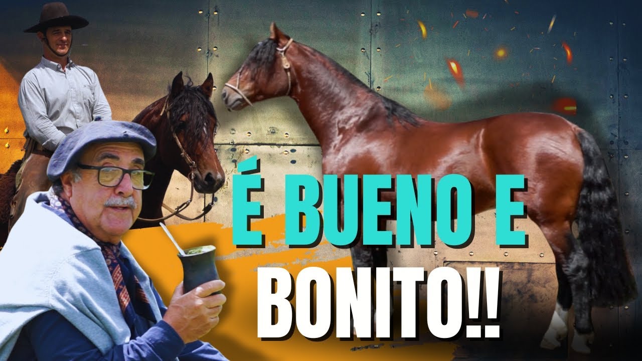 A busca pelo cavalo crioulo completo ✔️ Tem garanhão novo na Cabanha Tupambaé