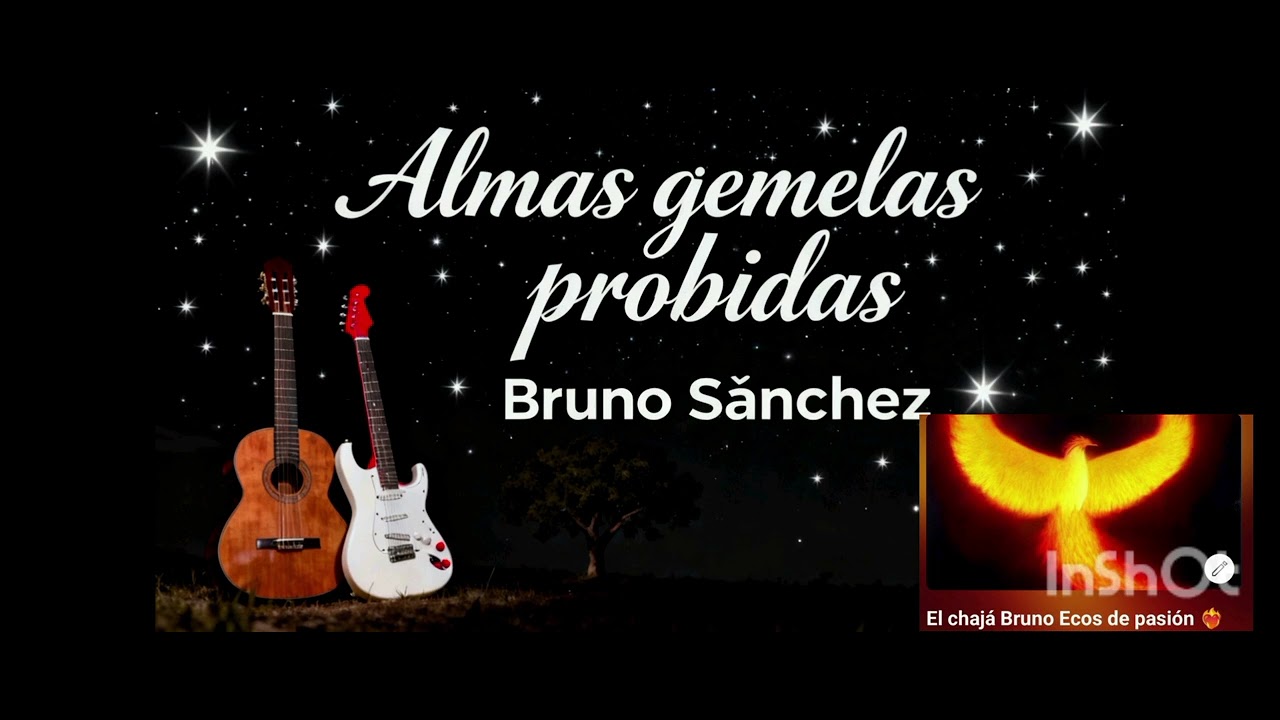 Almas gemelas prohibidas