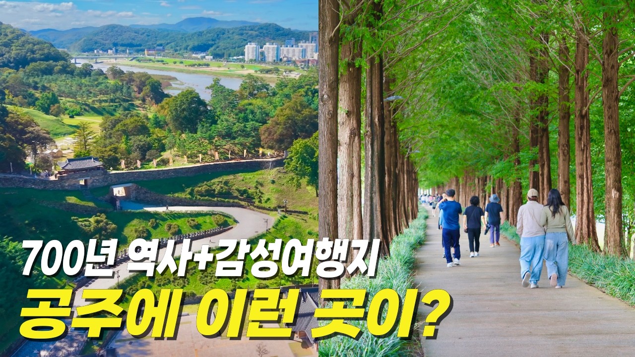 관광객 150만명이 찾는! 유네스코가 인정한 국내최고 여행지!🚌 당일치기 '공주여행'🚶‍♀️