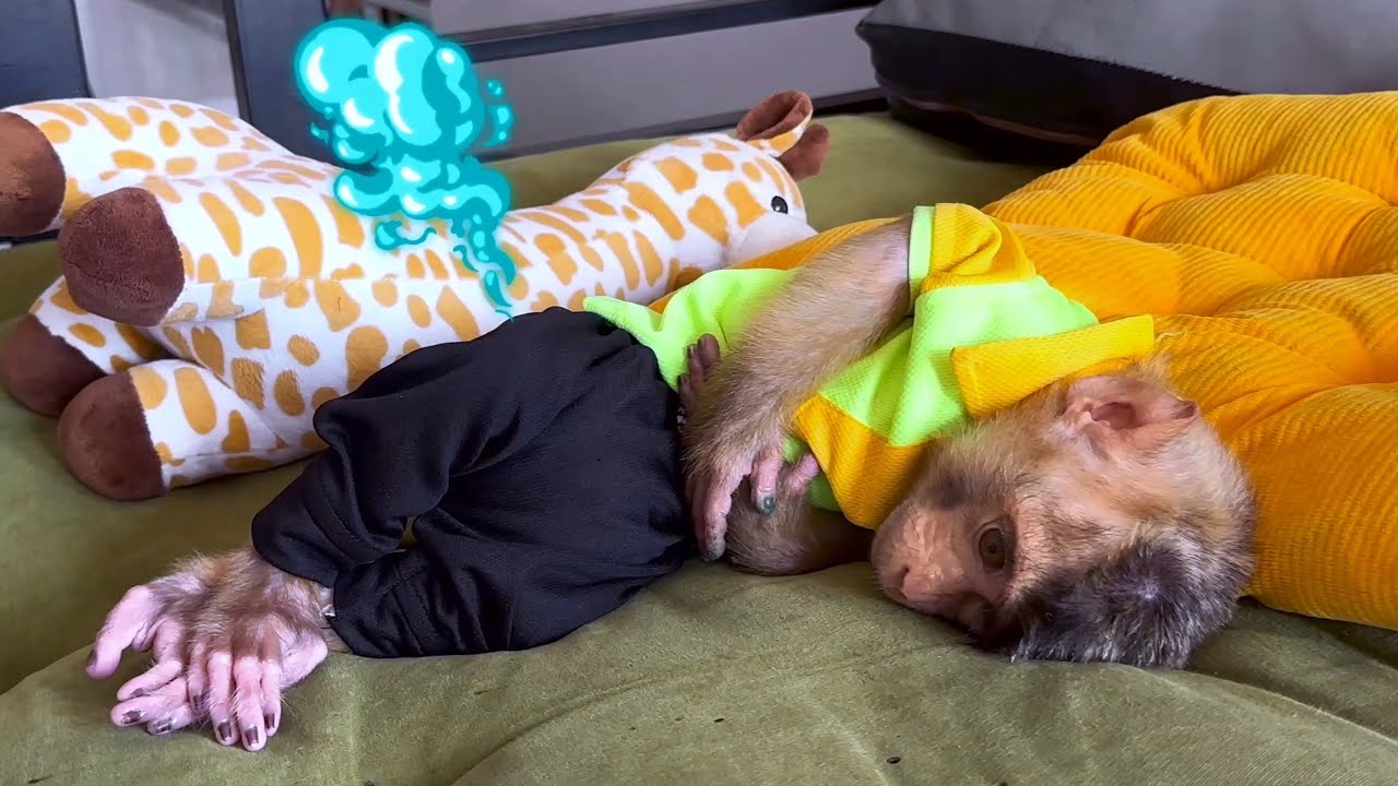 Poor Alpha has diarrhea and his diaper is full of poop making Mommy worried