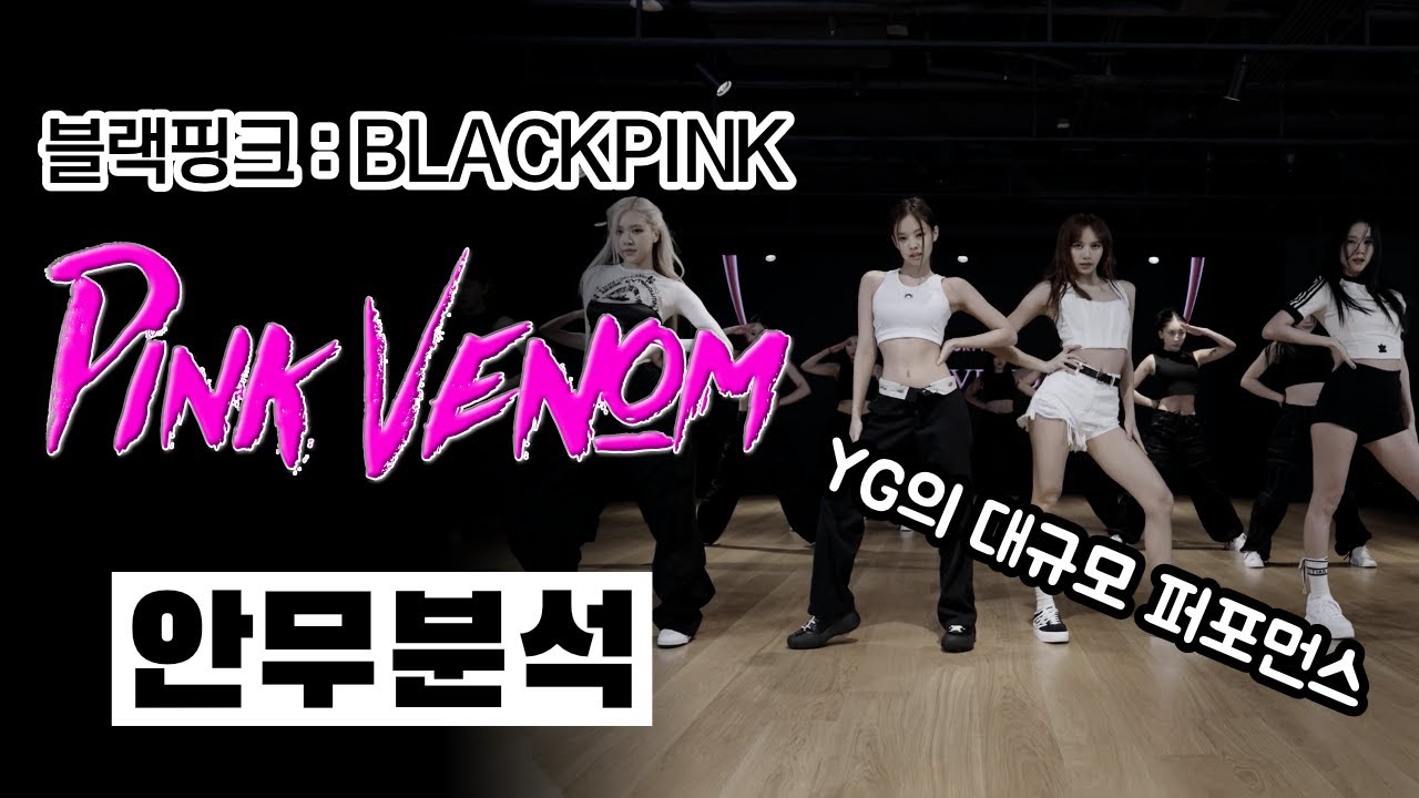 대한민국을 대표하는 걸그룹 블랙핑크의 개간지 퍼포먼스! 핑크 베놈의 안무를 분석합니다 ⎮ BLACKPINK ⎮ PINK VENOM ⎮ ENG