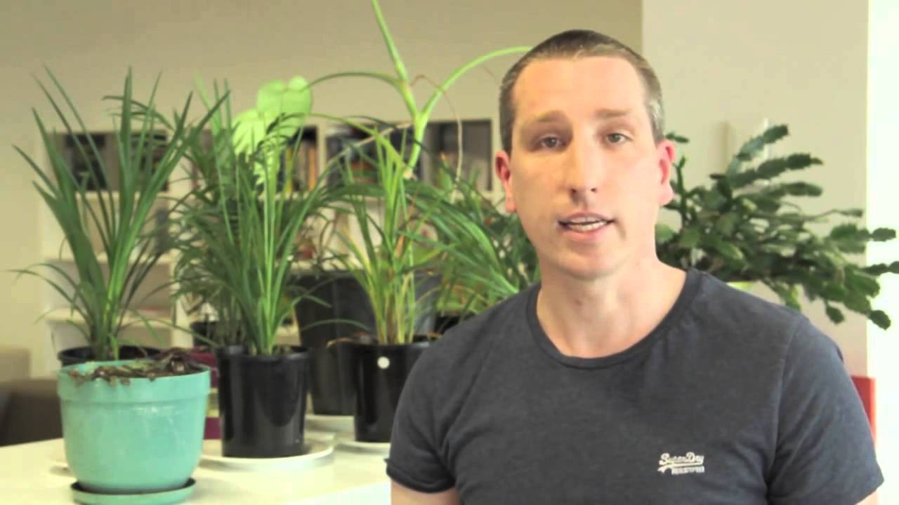 Viral vectors going viral | Dr David Hawkes