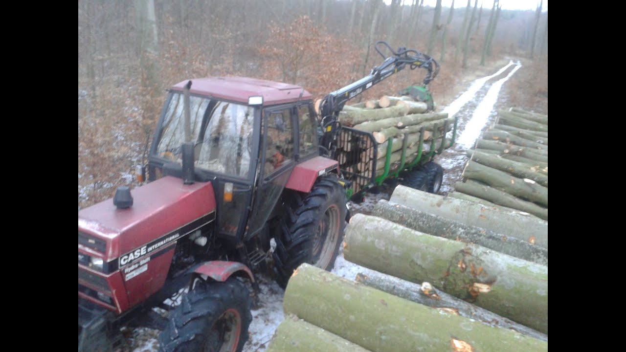 Zrywka buka. Fao-Far.