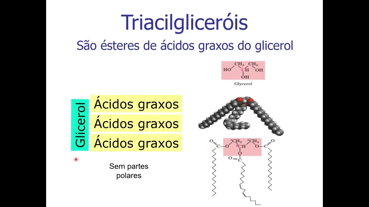 Lipídios parte 2