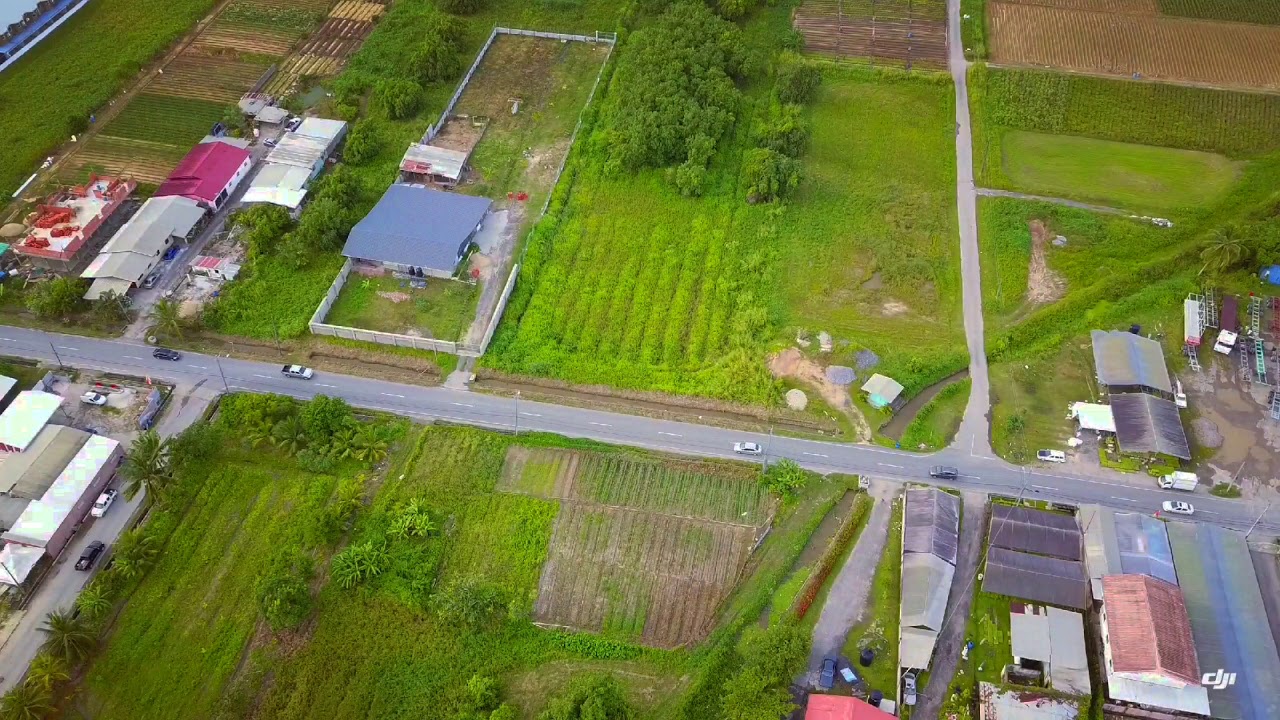 Drone footage of The Plains of Caroni HD (DJI Mavic)