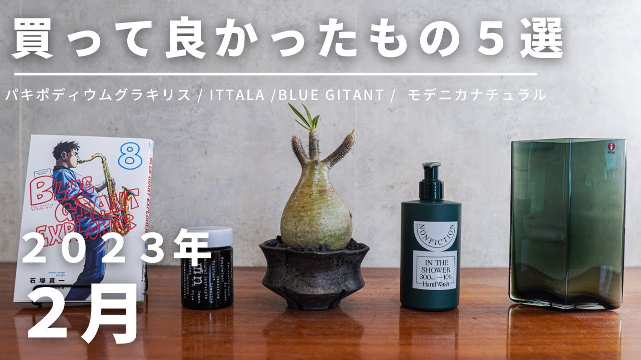 【2月に買ってよかったもの】パキポディウムグラキリスをついに手に入れた2月の購入品