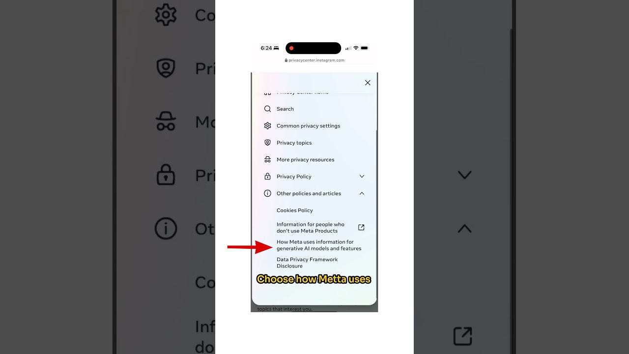 Stop Meta from Using Your Photos for AI