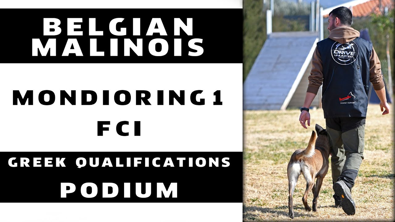 Mondioring 1 Podium - FCI Qualis of Greece 2020│Celine Sabanis D.T.C. with Dimitris Saridis