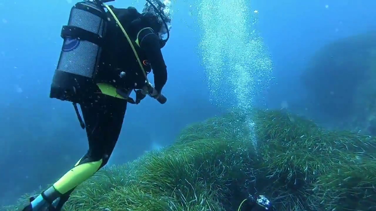 Immersioni a Lampedusa