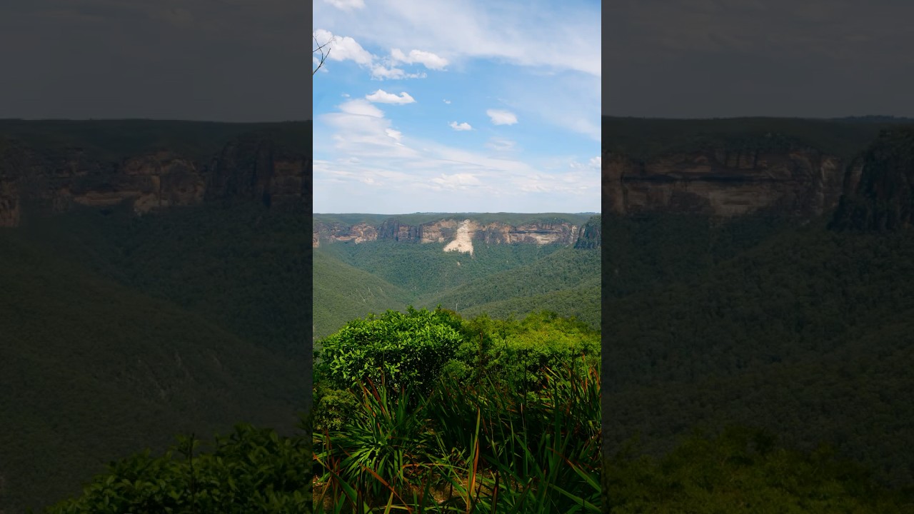 Wedding in the Blue Mountains