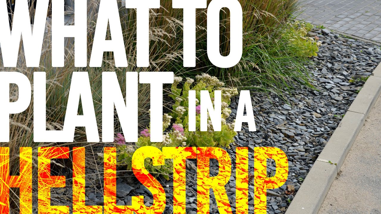 Hellstrip Guide to Planting