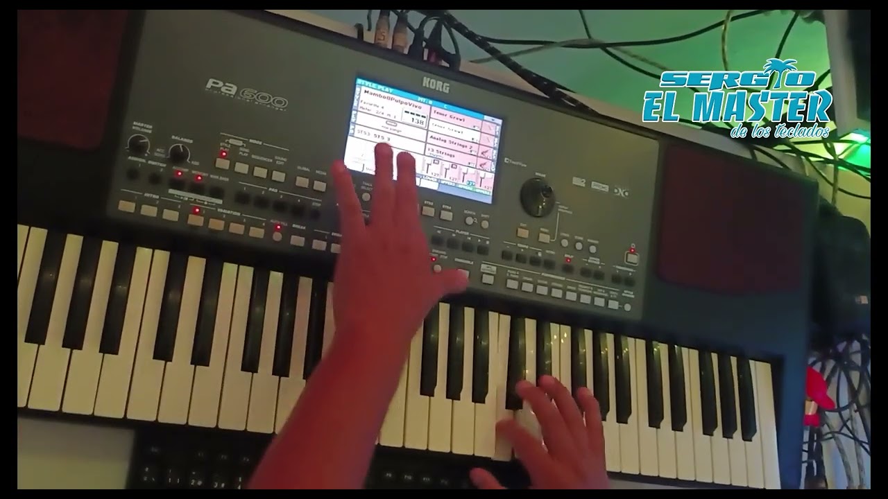 asignar samples y sonidos a STS korg pa600