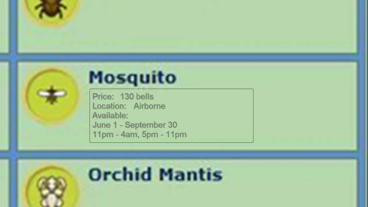 Animal Crossing City Folk Bug Guide