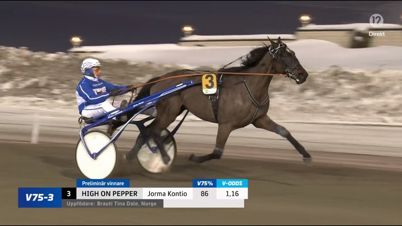 Katja Melkko-tränade High On Pepper & Jorma Kontio vinner Bergsåker Winter Trot (500 000 kr) 2024.