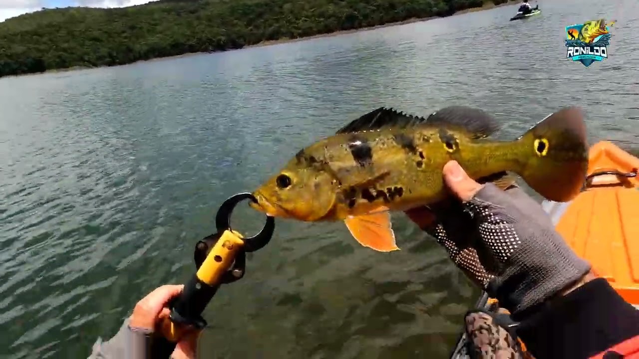 Tucunaré Lindo Que Pegei Na ultra Light 