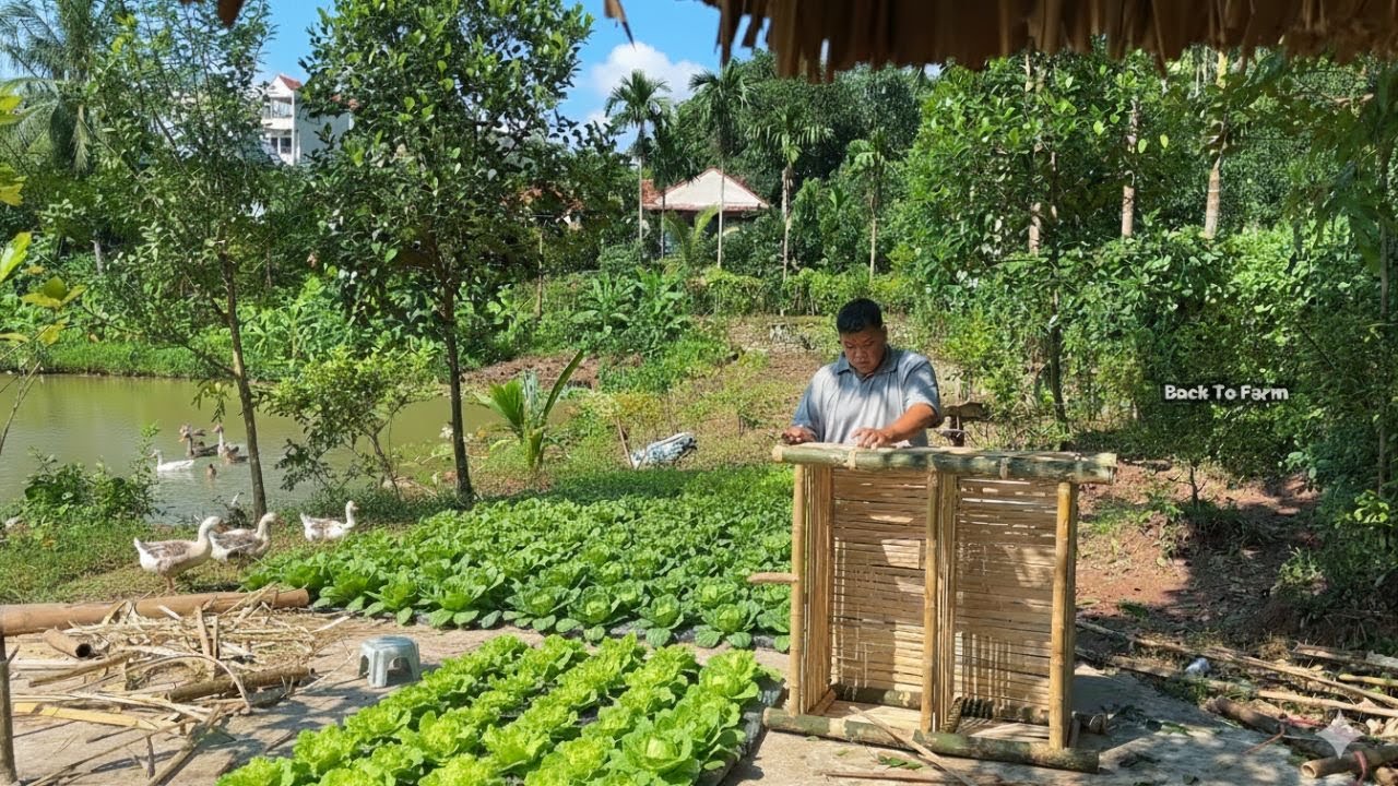 From City CEO to Countryside Life: DIY Bamboo Kitchen Shelf & Bun Cha Feast for My Visiting Family