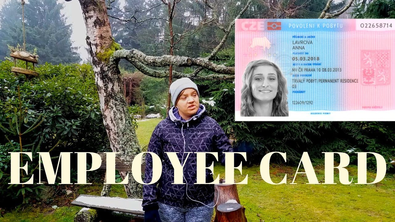 How to get the Employee Card? | Brno Expat Guide Ep 7