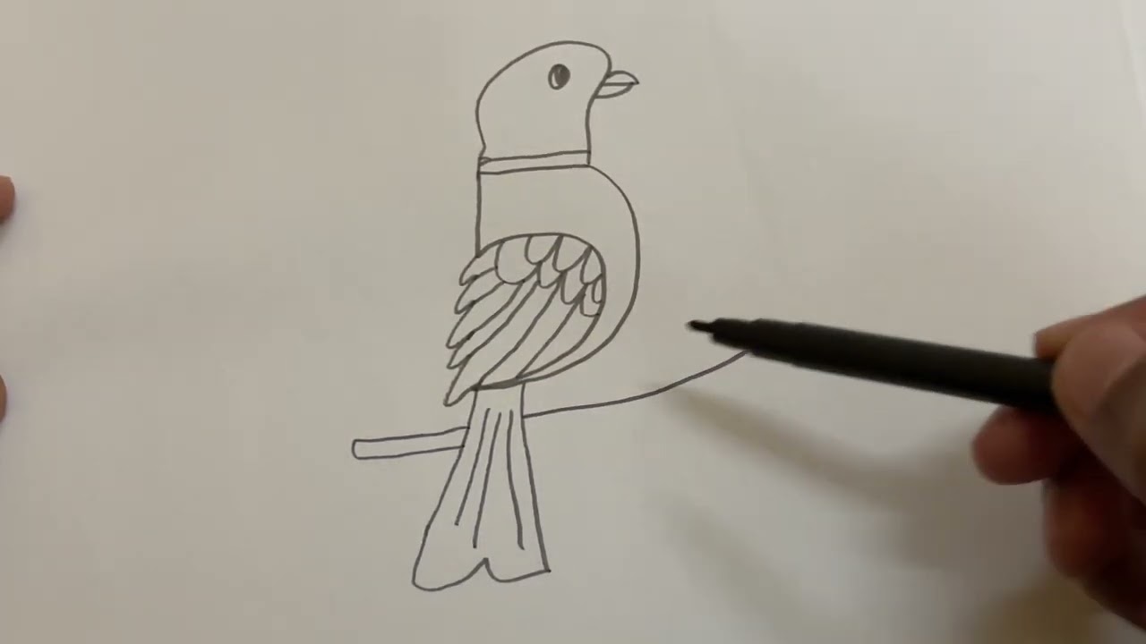 How To Draw a Bird from Number 5 | Easy Number Art Step by Step