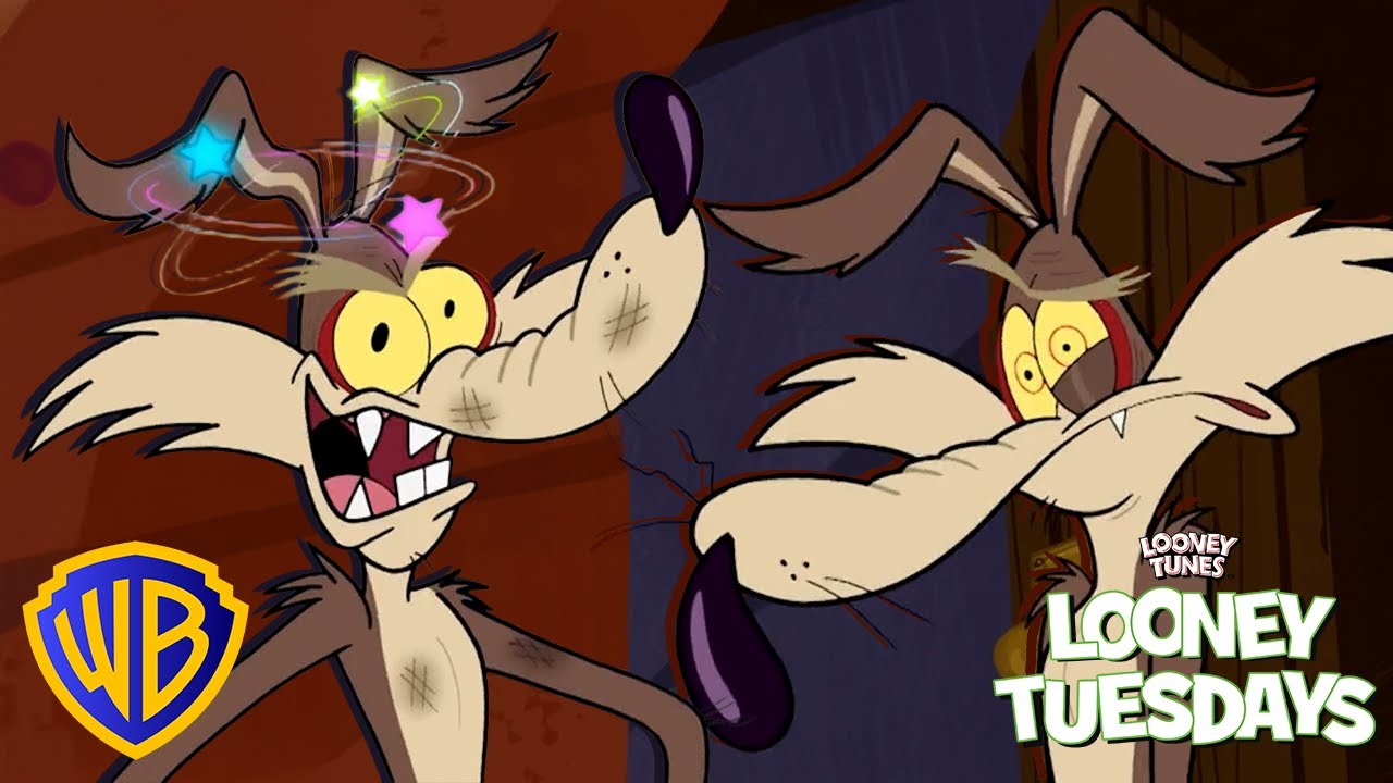 Wile E. Coyote CRASHES OUT on Road Runner! 😤 | Looney Tuesdays | #kidscartoons @wbkids