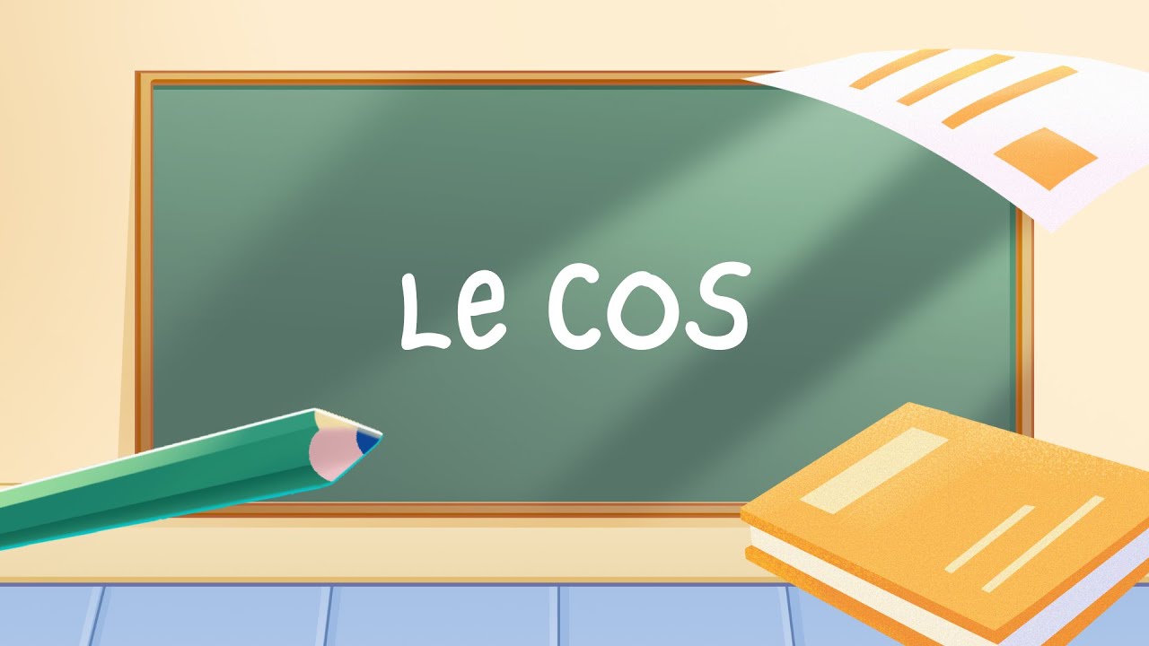 Leçons de grammaire, Le COS