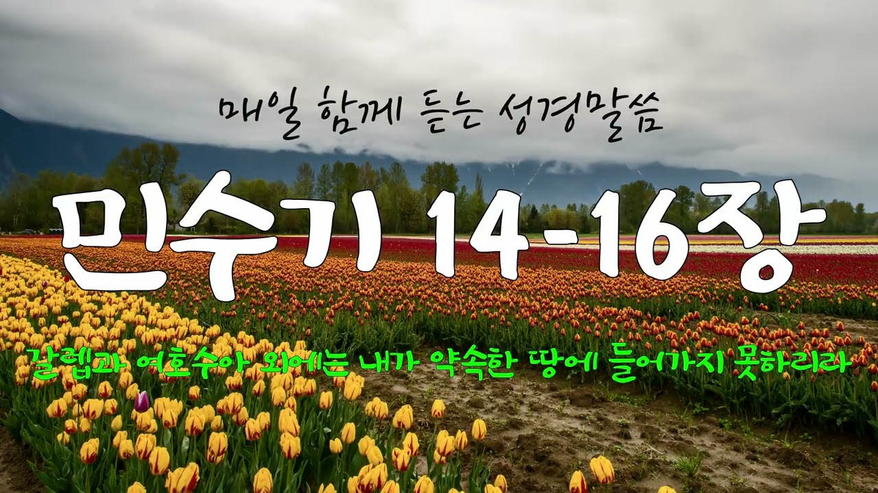 민수기 14-16장 (개역개정) 매일 듣는 365일 통독
