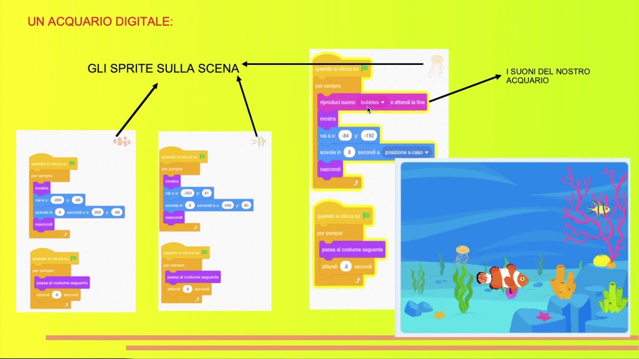 CORSO SCRATCH