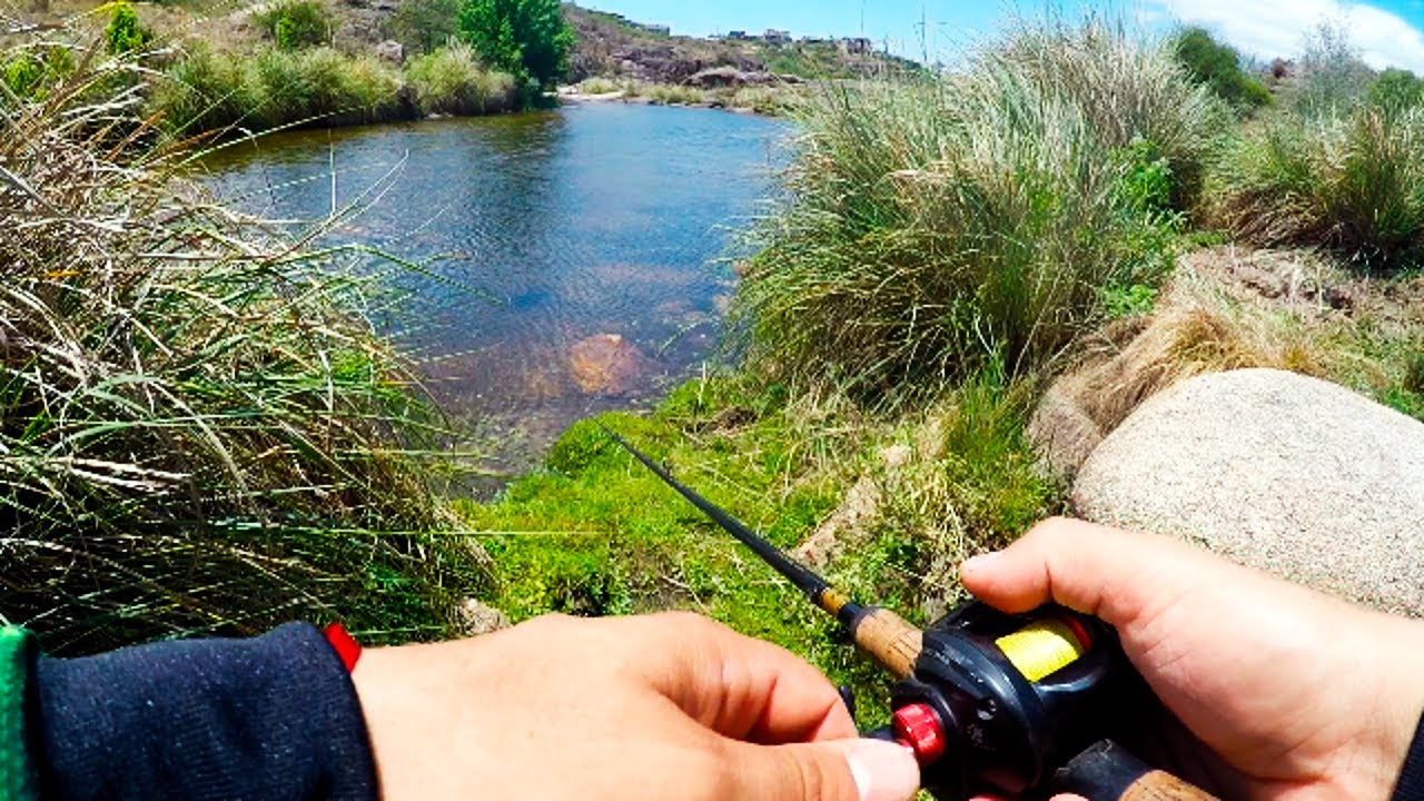 PESCA de TARARIRA con SEÑUELO en CORDOBA - Tarucha GRANDE