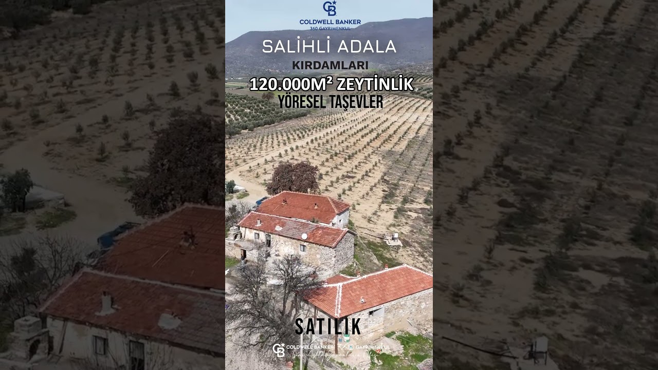 SALİHLİ Adala'da  Satılık 120.000m&sup2; Zeytinlik #salihli #satılık #zeytinlik #taşev #realestate